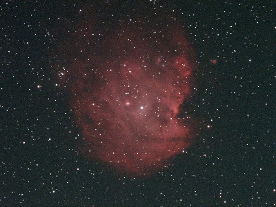 Monkey Head Nebula